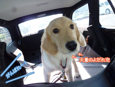 20101203.jpg
