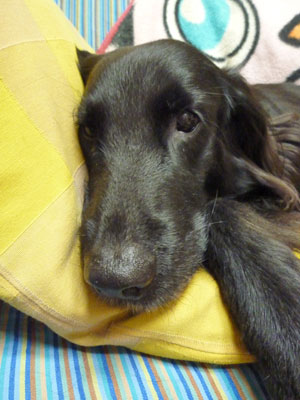 20101204.jpg