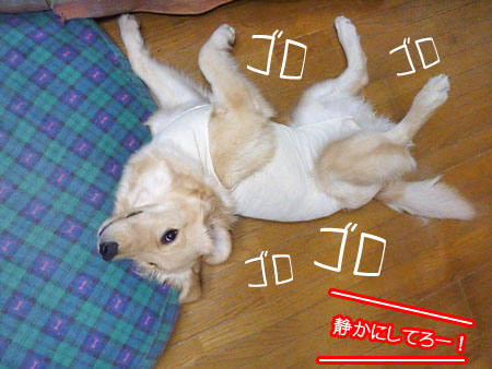 20101206.jpg
