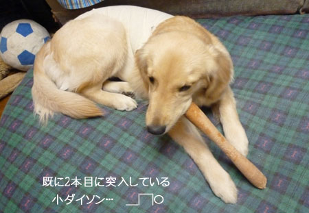 20101209.jpg