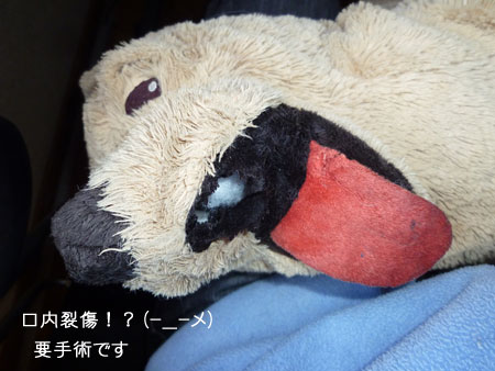 20101211-01.jpg