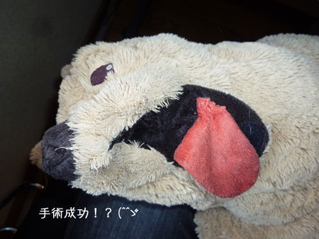 20101211-02.jpg