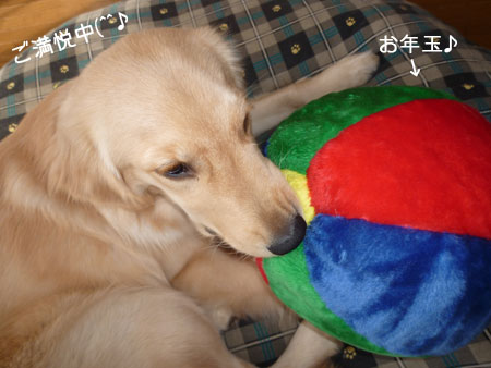 20110103.jpg
