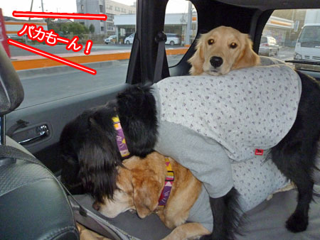20110104.jpg