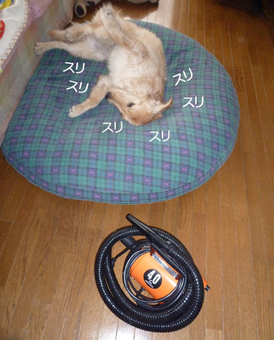 20110105.jpg