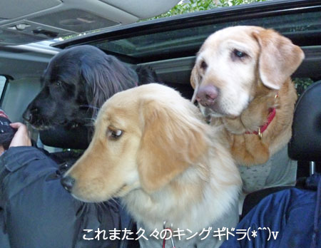 20110106.jpg