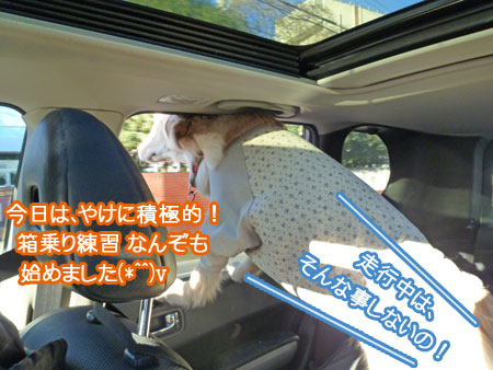 20110108.jpg