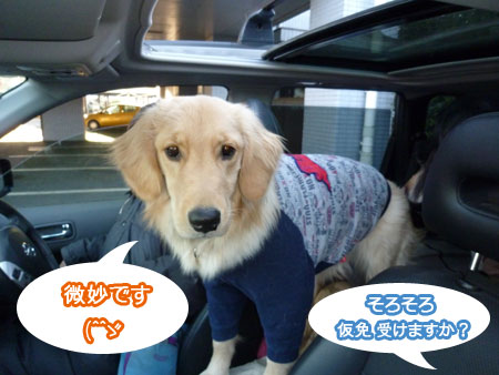 20110204.jpg