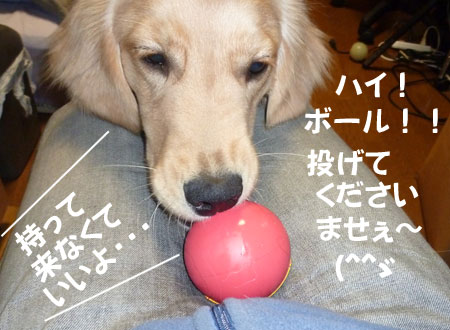 20110302.jpg