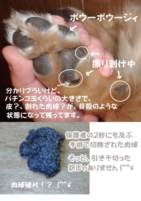20110303.jpg