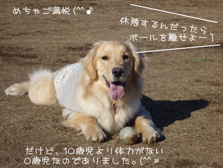 20110305.jpg