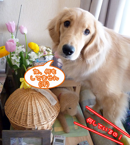 20110306-02.jpg