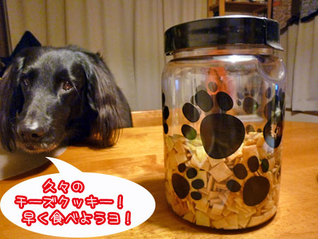 20110308-06.jpg