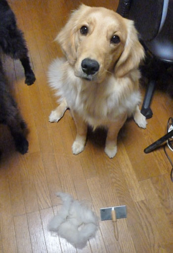 20110311.jpg
