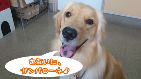 20110801.jpg