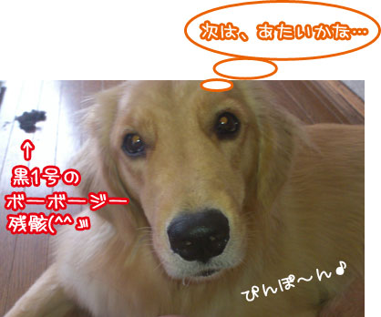 20110802.jpg