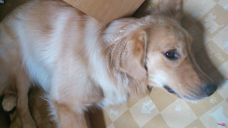 20110803.jpg