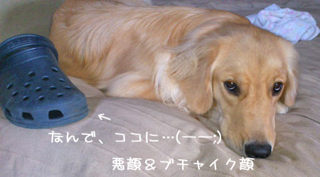 20110809-02.jpg