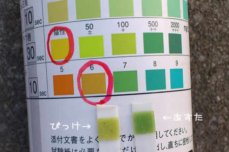 20110809.jpg