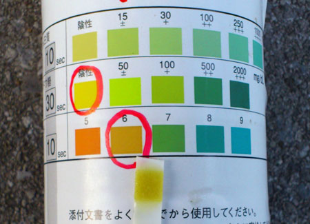 20110811-02.jpg