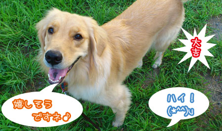 20110811-03.jpg