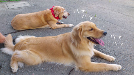 20110812-03.jpg