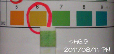 20110812.jpg