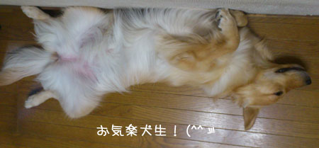 20110813-03.jpg