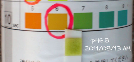 20110813.jpg