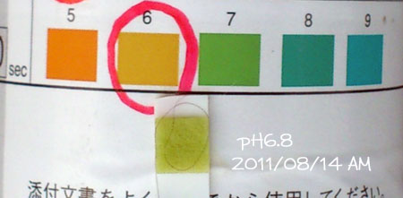 20110814-02.jpg