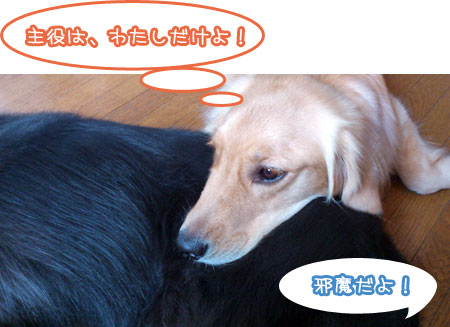 20110814.jpg
