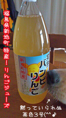 20110815.jpg