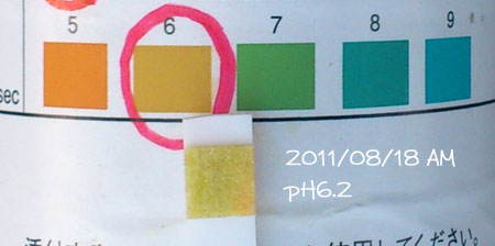 20110818-02.jpg
