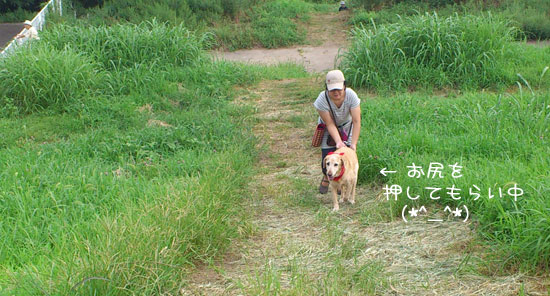 20110819.jpg