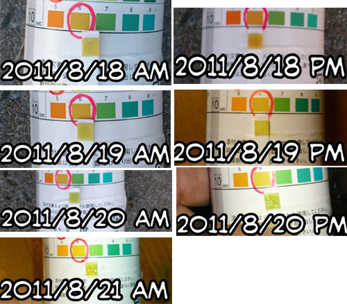 20110821-02.jpg