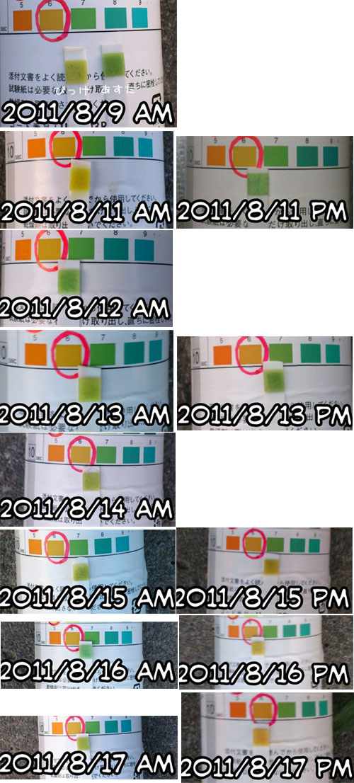 20110821.jpg