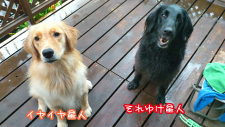 20110822.jpg