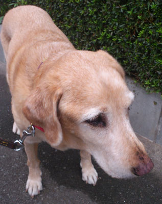 20110907.jpg