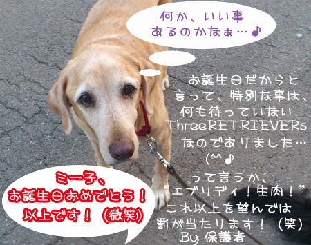 20110910.jpg