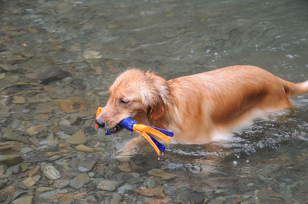 20110914.jpg