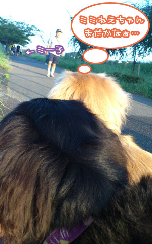 20110919.jpg
