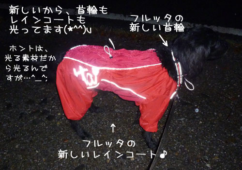 20111006.jpg