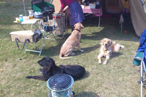 20111007.jpg