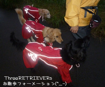 20111016.jpg