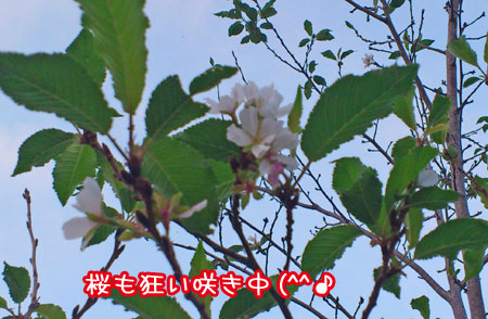 20111017-02.jpg