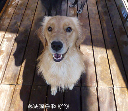 20111017.jpg