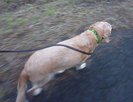 20111101.jpg