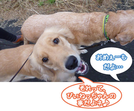 20111104.jpg