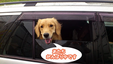20111108.jpg