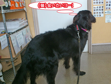 20111109.jpg